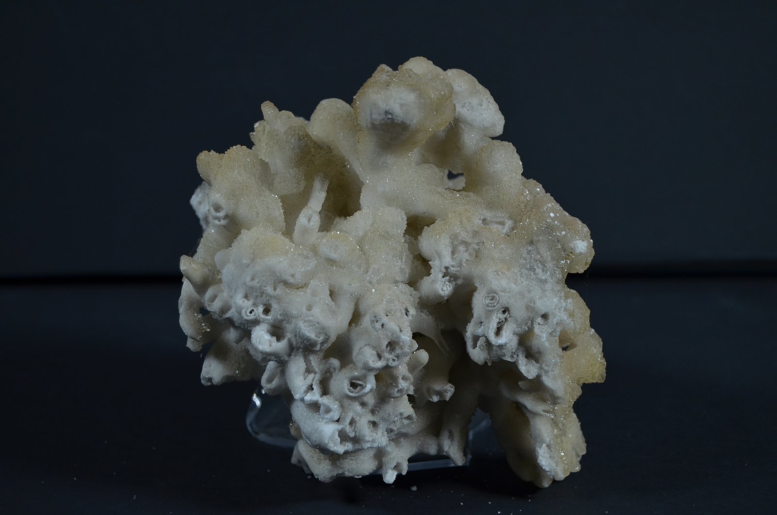 Aragonito Coraloideo